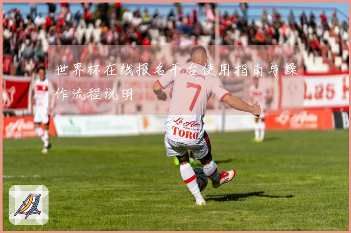 世界杯在线报名平台使用指南与操作流程说明