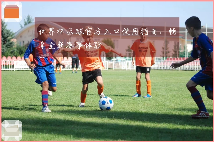 世界杯买球官方入口使用指南，畅享全新赛事体验