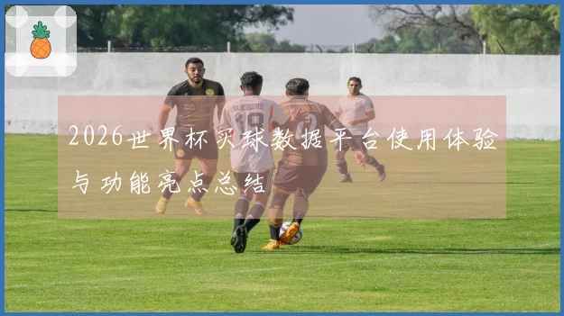 2026世界杯买球数据平台使用体验与功能亮点总结