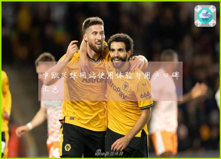 中欧买球网站使用体验与用户口碑汇总