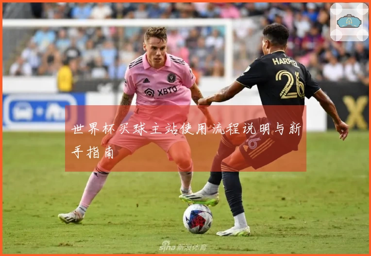 世界杯买球主站使用流程说明与新手指南