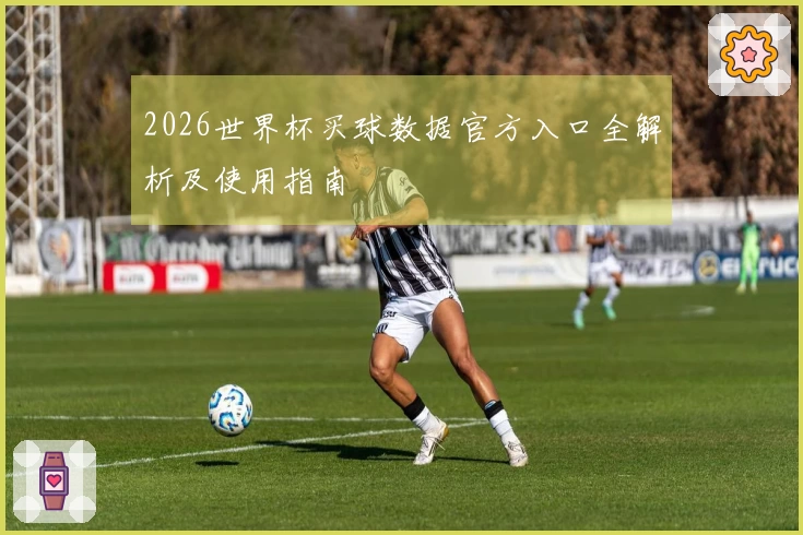 2026世界杯买球数据官方入口全解析及使用指南