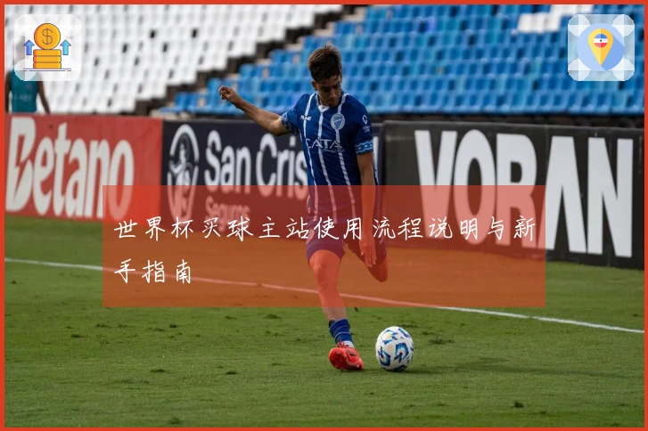 世界杯买球主站使用流程说明与新手指南