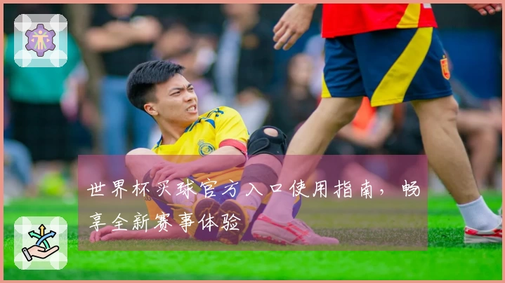 世界杯买球官方入口使用指南，畅享全新赛事体验